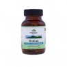 Brahmi BIO 60 kapslí Organic India